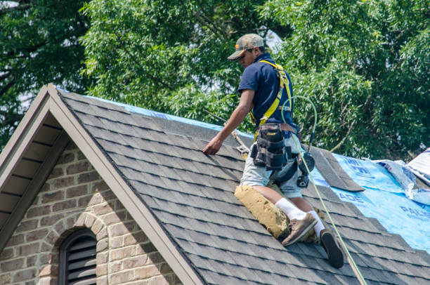 Best Roof Gutter Cleaning  in Myers Corner, NY